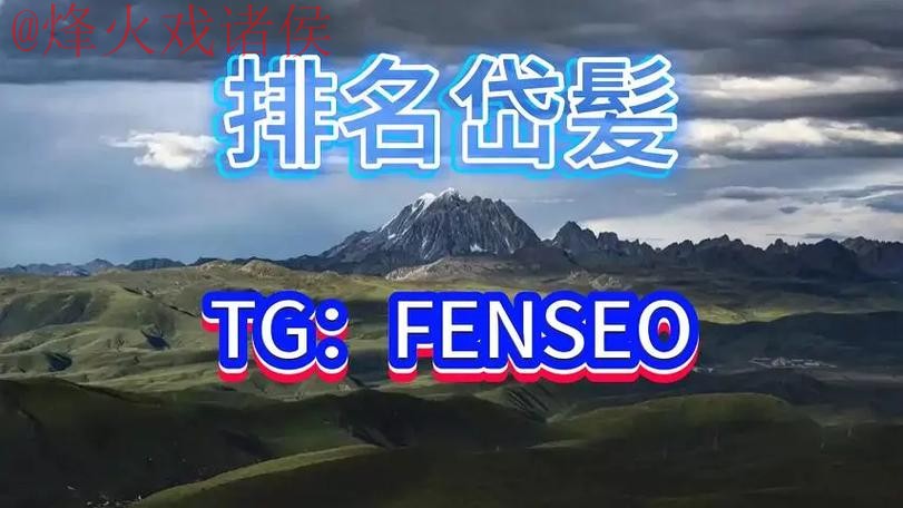 世界杯买球平台热门推荐与分析 世界杯买球平台热门推荐与分析